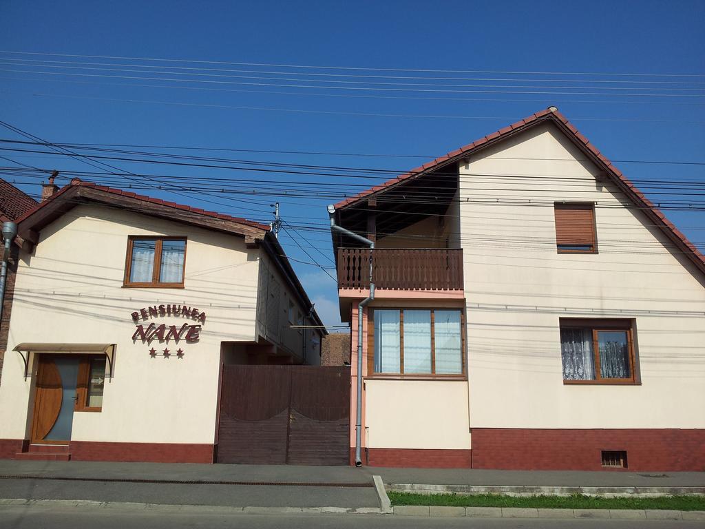Pensiunea Nane Sibiu Exterior foto